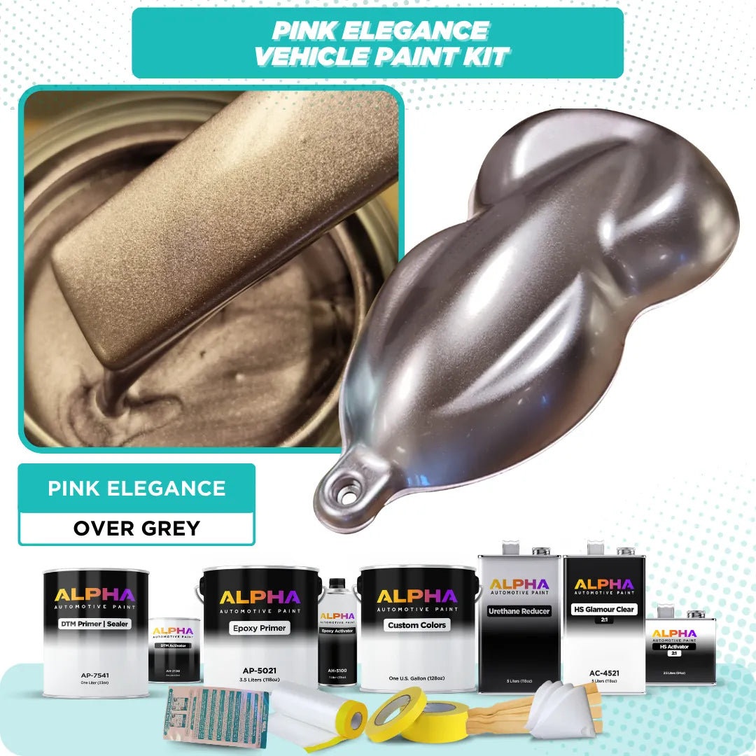 Pink Elegance Vehicle Paint Kit