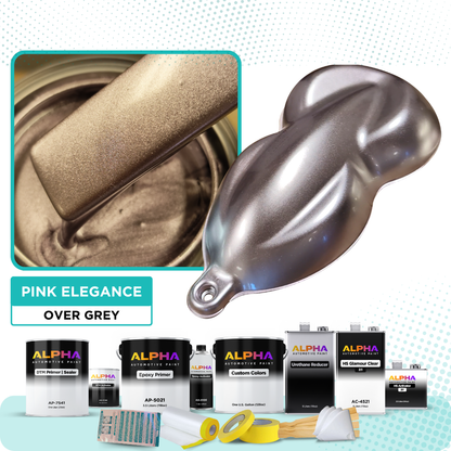Pink Elegance Vehicle Paint Kit