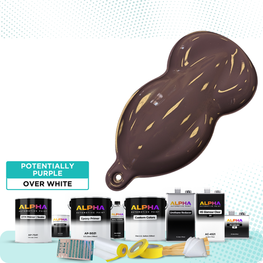 Potentially Purple Vehicle Paint Kit (White Sealer)