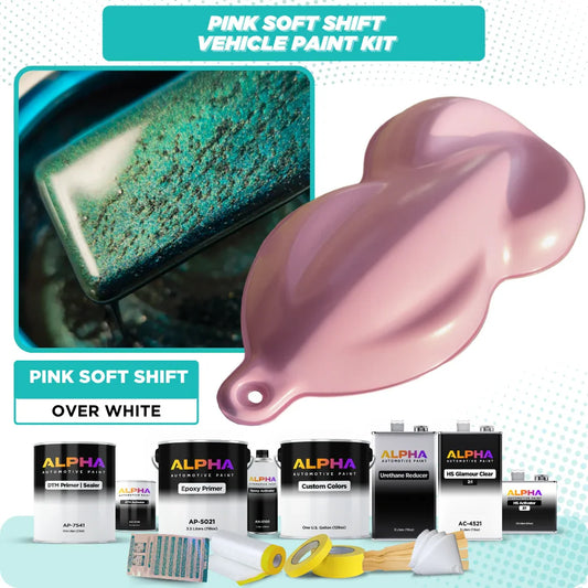 Pink Soft Shift Vehicle Paint Kit