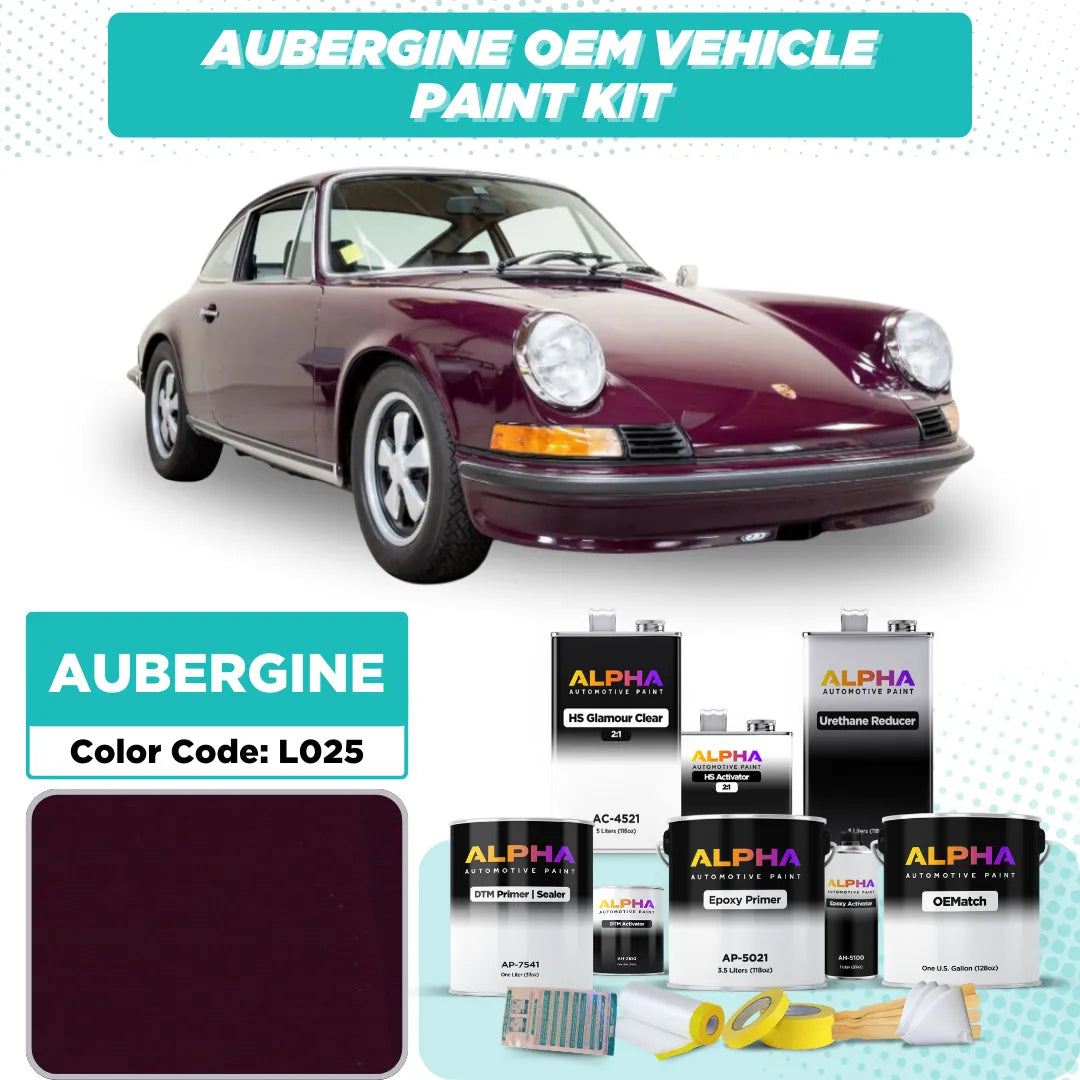 Porsche Aubergine L025 | OEMatch Vehicle Paint Kit