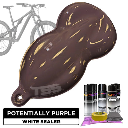 Potentially Purple Bike Paint Kit