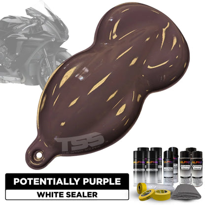Potentially Purple Motorcycle Paint Kit