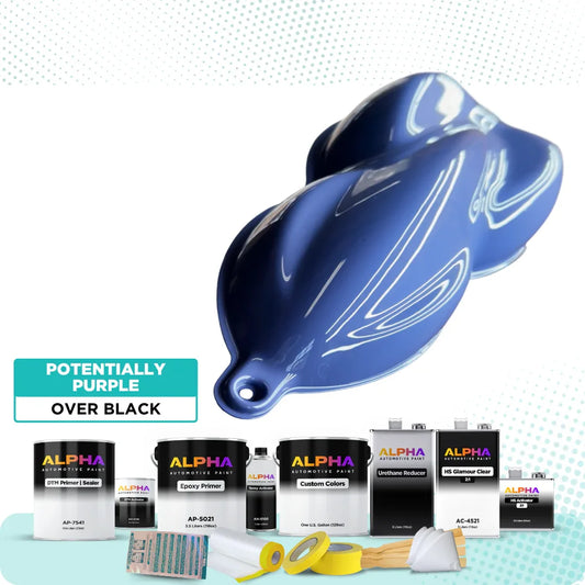 Potentially Purple Vehicle Paint Kit (Black Sealer)