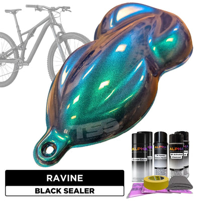 Ravine Bike Paint Kit