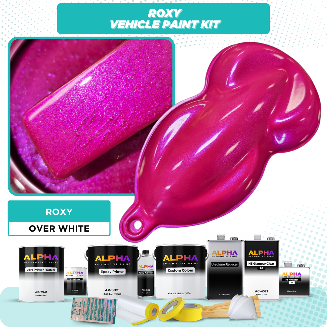 Roxy Vehicle Paint Kit