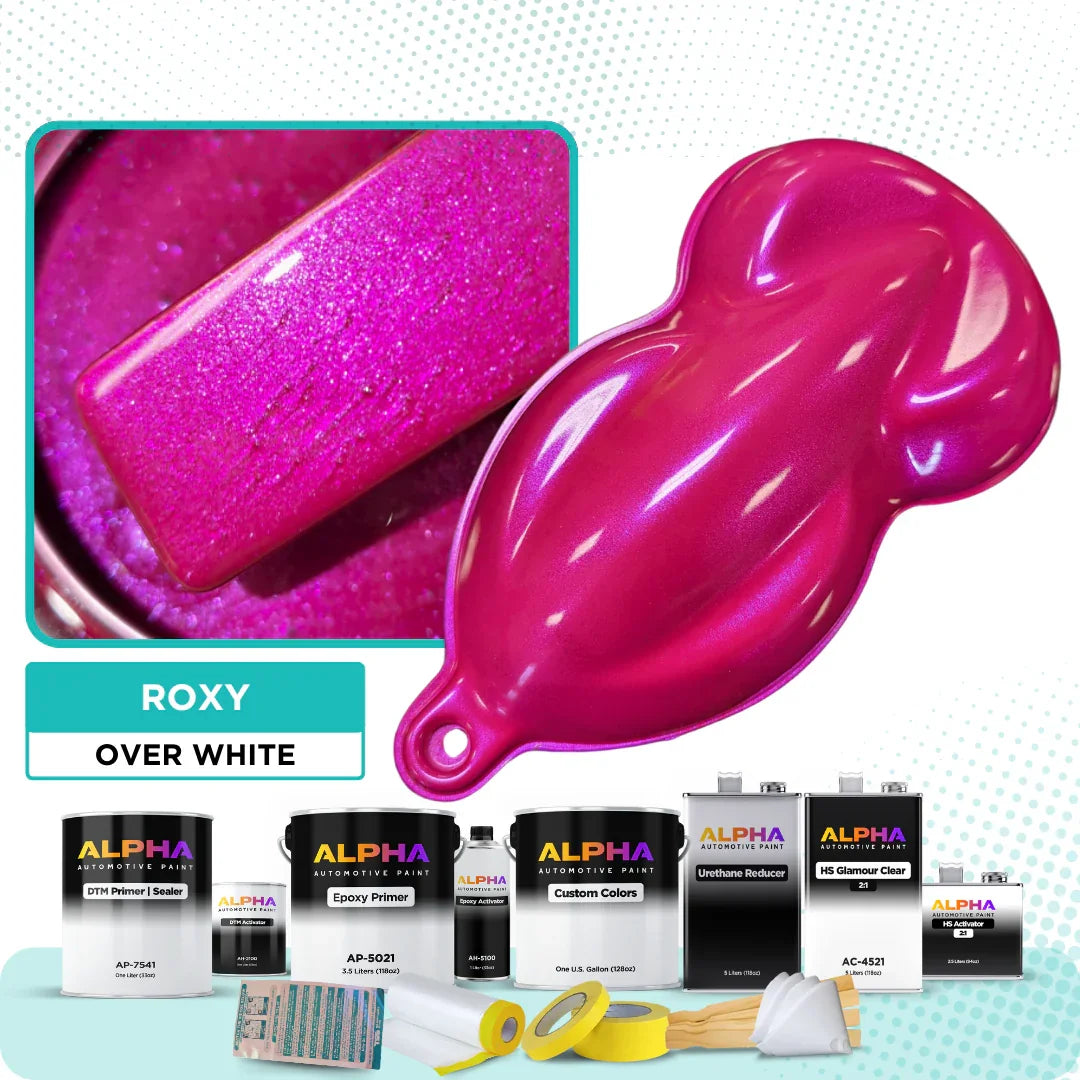 Roxy Vehicle Paint Kit
