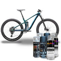 Rainberry Subtleshift Bike Paint Kit - Gloss