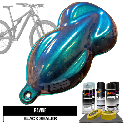 Ravine Bike Paint Kit