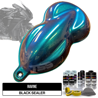 Ravine Motorcycle Paint Kit