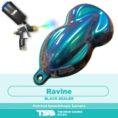Ravine Painted Sample (Black Ground Coat)