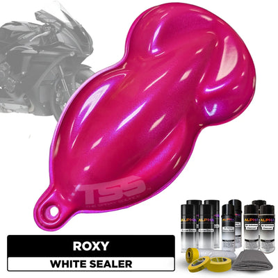 Roxy Motorcycle Paint Kit