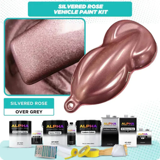 Silvered Rose Vehicle Paint Kit