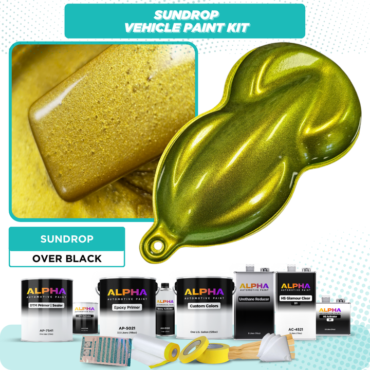 Sundrop Vehicle Paint Kit