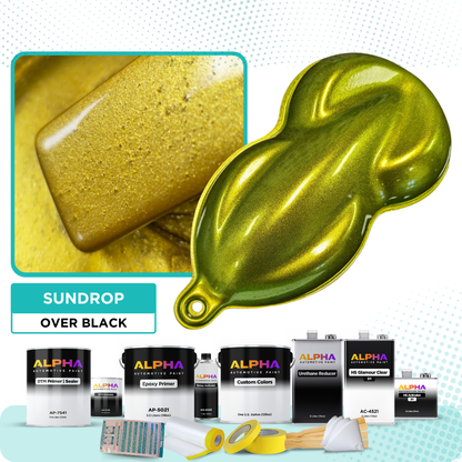 Sundrop Vehicle Paint Kit