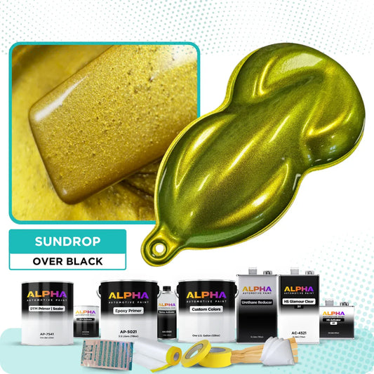 Sundrop Vehicle Paint Kit