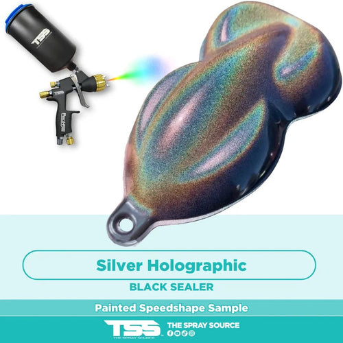 Silver Holographic Painted Sample (Black Ground Coat)