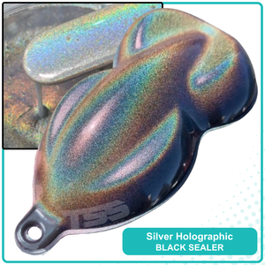 Silver Holographic Basecoat Midcoat