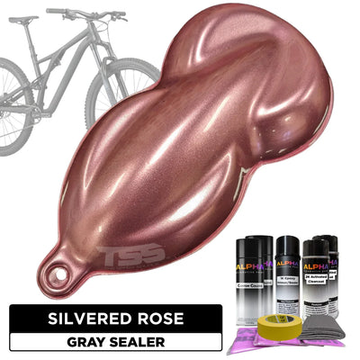Silvered Rose Bike Paint Kit