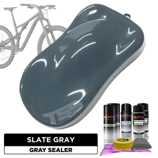Slate Gray Bike Paint Kit