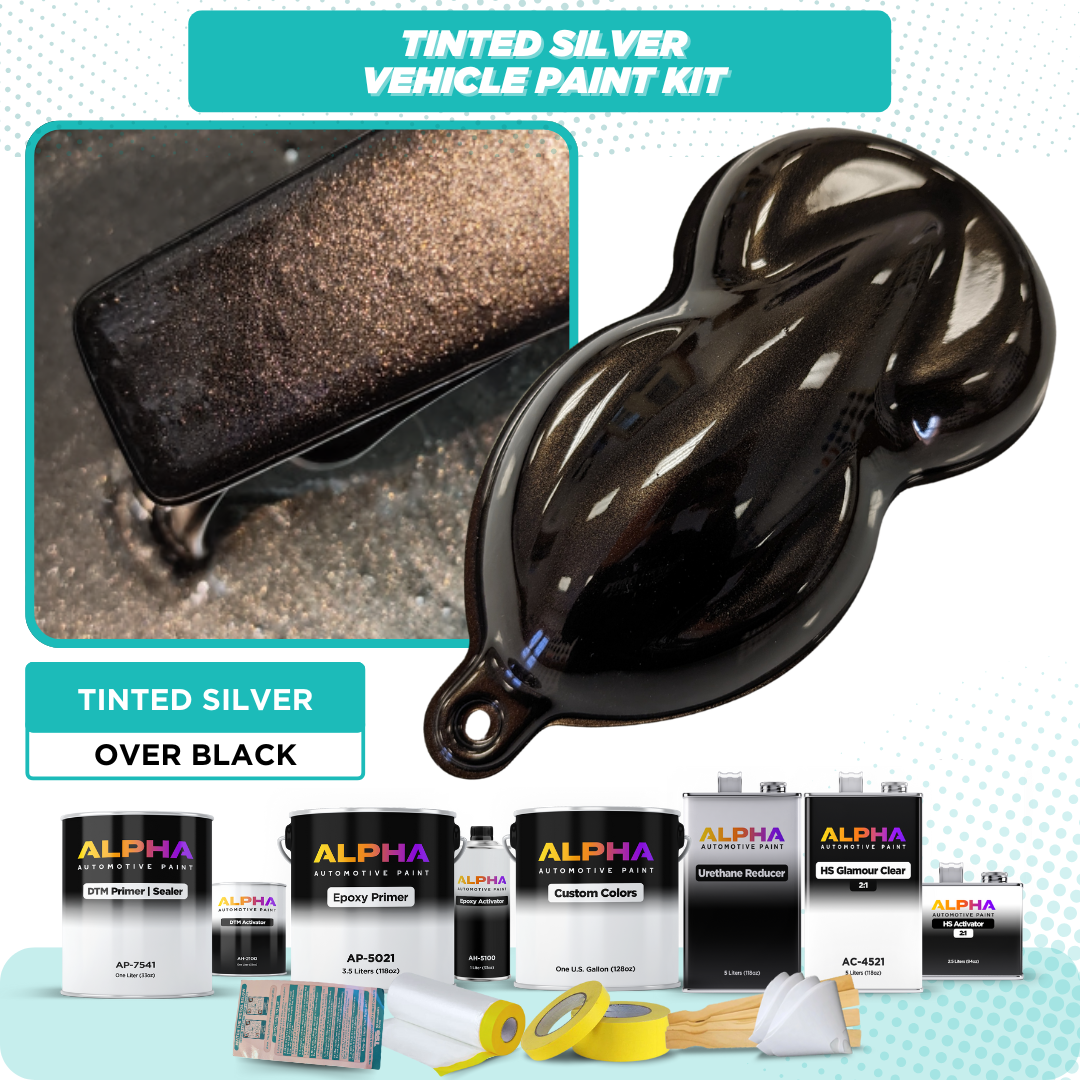 Tinted Silver Vehicle Paint Kit