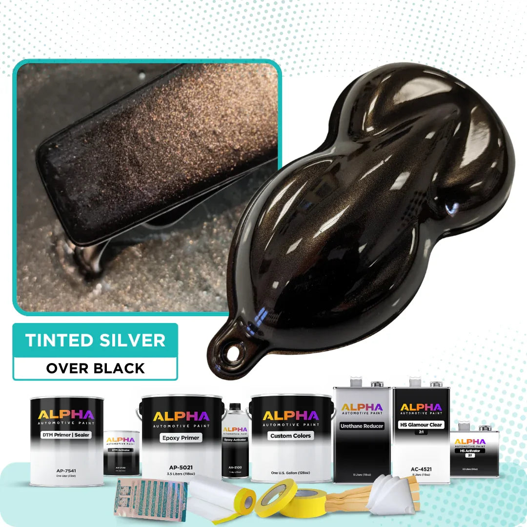 Tinted Silver Vehicle Paint Kit