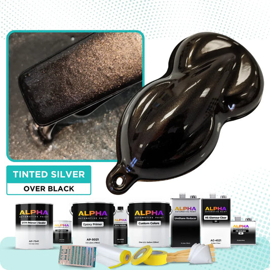 Tinted Silver Vehicle Paint Kit