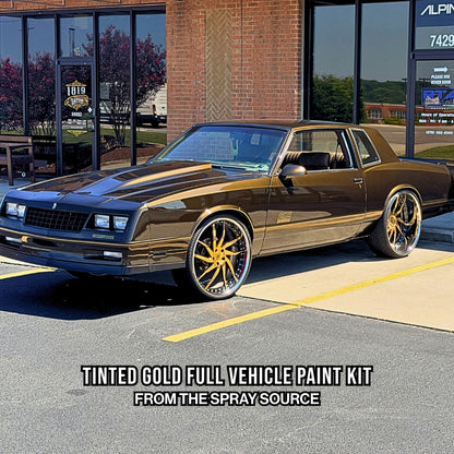 Tinted Gold Vehicle Paint Kit