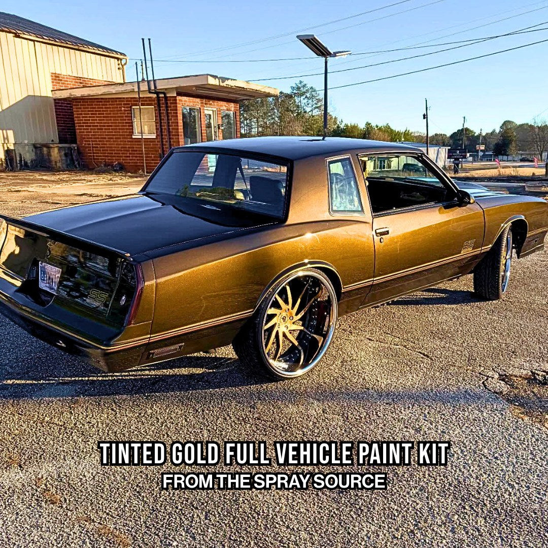 Tinted Gold Vehicle Paint Kit