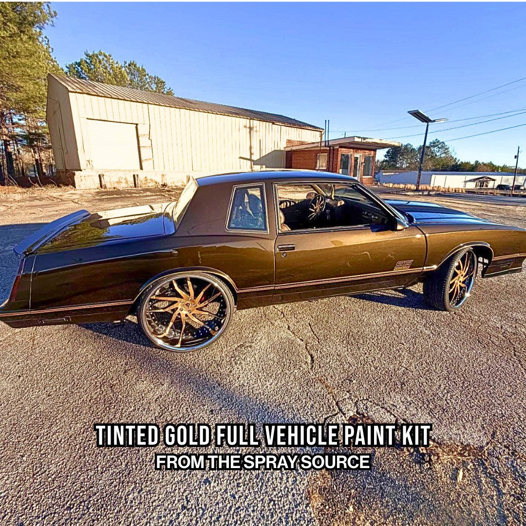 Tinted Gold Vehicle Paint Kit