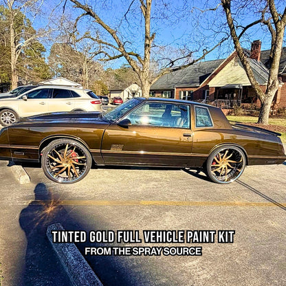 Tinted Gold Vehicle Paint Kit