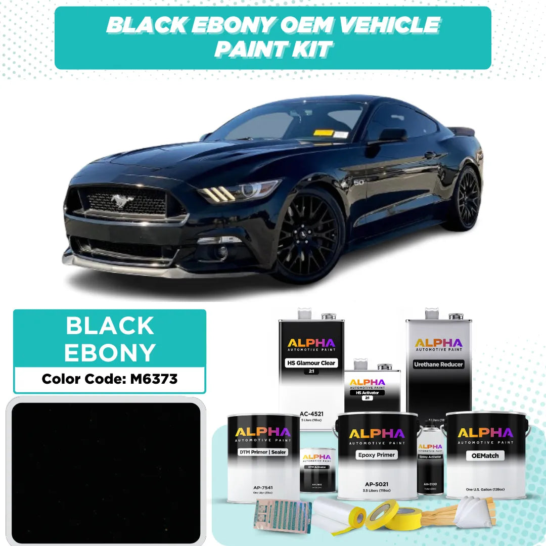 FORD USA BLACK EBONY M6373 / UA-6373 | OEMatch Vehicle Paint Kit