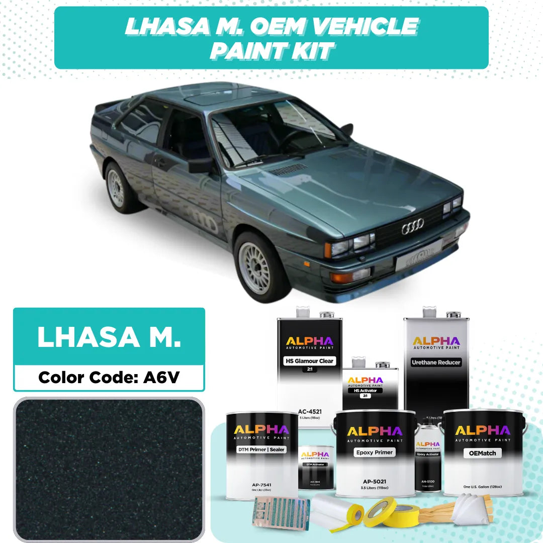 Volkswagen / Audi Lhasa M. A6V | OEMatch Vehicle Paint Kit