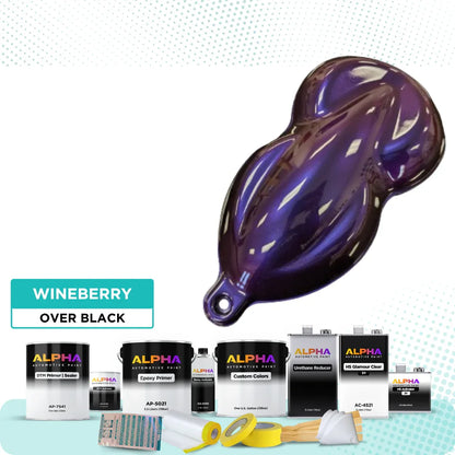Wineberry Vehicle Paint Kit