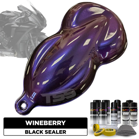 Wineberry Motorcycle Paint Kit