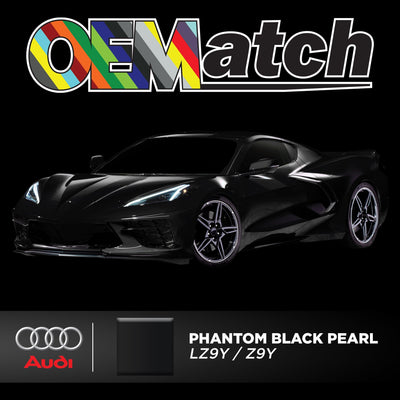 Audi Phantom Black Pearl | OEM Drop-In Pigment - The Spray Source - Alpha Pigments