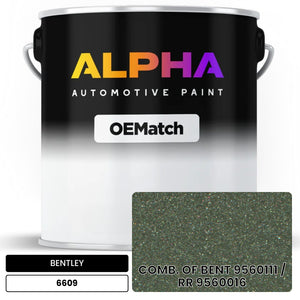 BENTLEY COMB. OF BENT 9560111 / BENT 9560164 6623 | OEMatch Automotive Basecoat