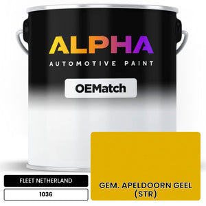 FLEET NETHERLAND GEM. APELDOORN GEEL (STR) 1036 | OEMatch Automotive Basecoat
