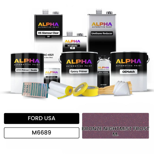 FORD USA BRONZE NIGHTMIST FROST M. M6689 OEMatch Vehicle Paint Kit