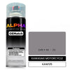 KAWASAKI MOTORCYCLE GREY M. - 2C KAW125 | OEMatch Automotive Spraycan