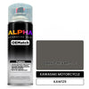 KAWASAKI MOTORCYCLE DARK GREY M. - 2C KAW129 | OEMatch Automotive Spraycan