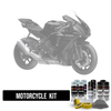 Ford Motorcycle Paint Kit