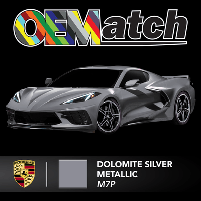 Porsche Dolomite Silver Metallic | OEM Drop-In Pigment - The Spray Source - Alpha Pigments