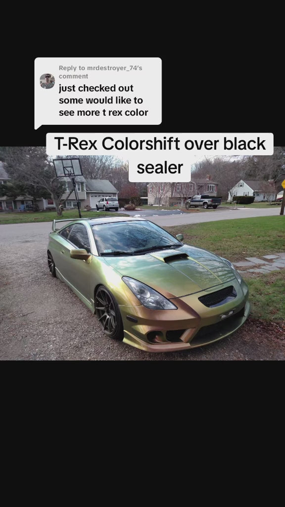 T-Rex Colorshift Paint Basecoat | Automotive Custom Color – The