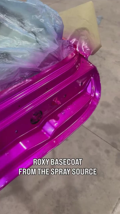 Roxy Paint Basecoat