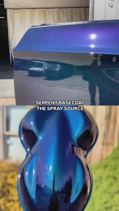 Serpent Vehicle Paint Kit