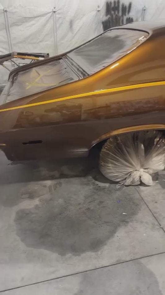 Molasses Wheel Paint Kit