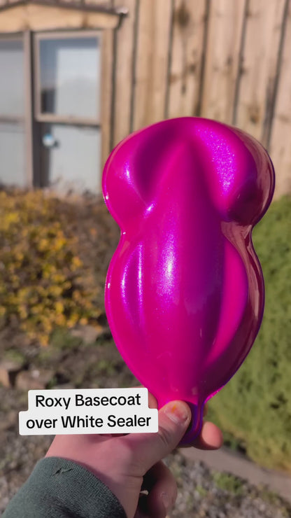 Roxy Vehicle Paint Kit