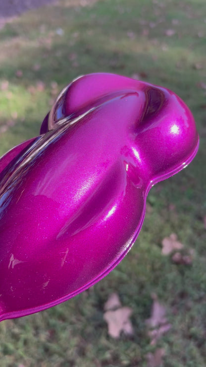Lavish Plum Vehicle Paint Kit (Black Sealer)