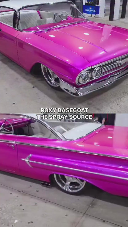 Roxy Vehicle Paint Kit